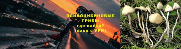 ешки Алзамай