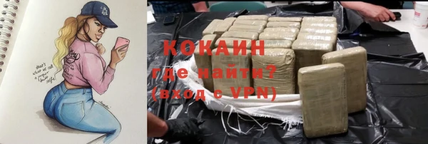 ешки Алзамай