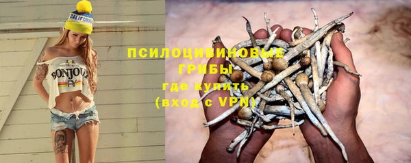 прущая мука Алексеевка