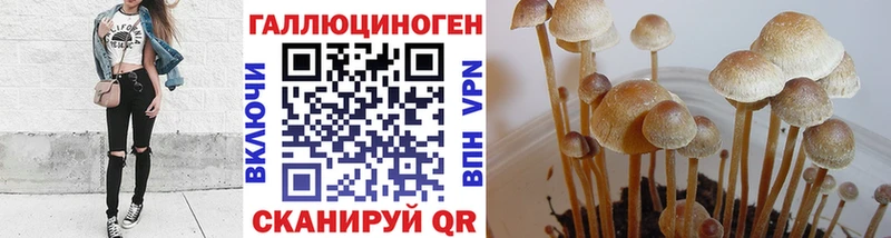 Псилоцибиновые грибы ЛСД  Юрьев-Польский 